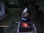 DSC03771.JPG