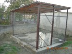 DSCN0721.JPG