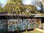 DSC07156 [Разрешение рабочего стола].JPG