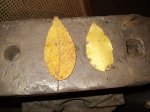 DSC07191 [Разрешение рабочего стола].JPG