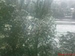 DSC02005.JPG