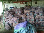 DSC02014.JPG