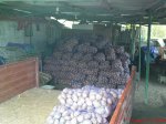 DSC02010.JPG