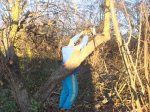 DSC00626.JPG
