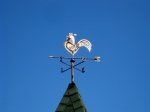 IMG_1673-0.jpg