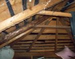 101_0810.JPG