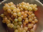 DSCN4431.jpg