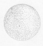 dot_drawing__011.jpg