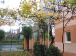 DSCN4492.jpg