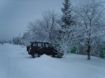 S8302059 (2).JPG