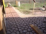 DSC07339.JPG