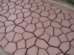 DSC07204.JPG