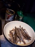 103_1403.JPG