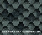 Alpiyskiy_slanec1.JPG