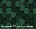 Severnaya_hvoya1.JPG