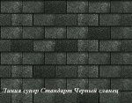 Cherniy_slanec1.JPG