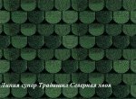 Severnaya_hvoya1.JPG