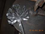 DSCN4956.jpg
