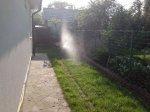 IMG_20130517_180547.jpg