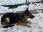 2012-12-08 14.22.44.jpg