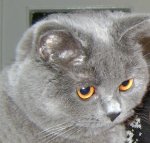 DSC04765.JPG