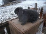 DSCF1474.JPG