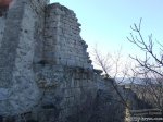 DSCF0940.jpg