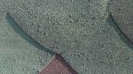 IMAG0097.jpg