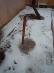 DSCN4568.jpg