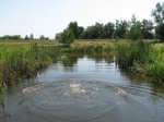 IMG_7410.jpg