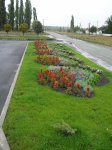 DSCN9716.JPG