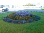 DSC03956.JPG