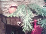 20131228_200817.jpg