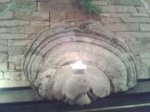20131228_200827.jpg