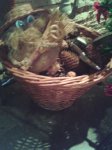 20131228_193837.jpg