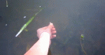 55ce19a5c1bd.gif