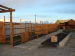 DSC07676.JPG