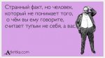 Тупой.jpg