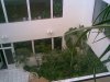 27052010(019).jpg