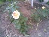 26052010.jpg