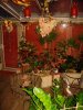 IMG_1307.JPG