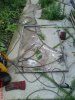 DSC00051.jpg