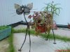 DSC00081.jpg