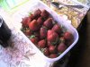 PIC_0066.jpg