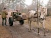 поехали.jpg