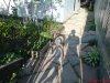 DSC00024.jpg