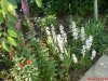 DSC00027.jpg