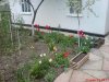 DSC00075.jpg