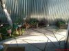 DSC00033.jpg