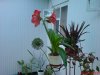 DSC00035.jpg